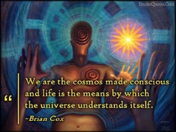 Cosmos Made Conscious